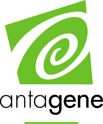 antagene